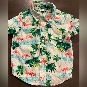 Janie and Jack Tropical flamingo shirt 6-12 months
